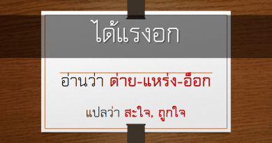 ได้แรงอก - แหลงแบบคนใต้