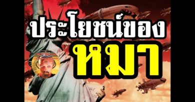 Red Alert 2 & Yuris Revenge - ประโยชน์ของหมา #เกมยูริ