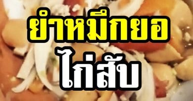 ยำหมึกยอไก่สับ