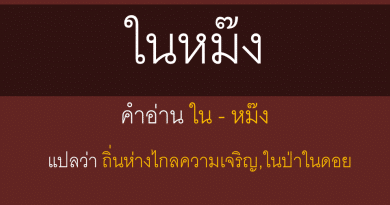 ในหม๊ง