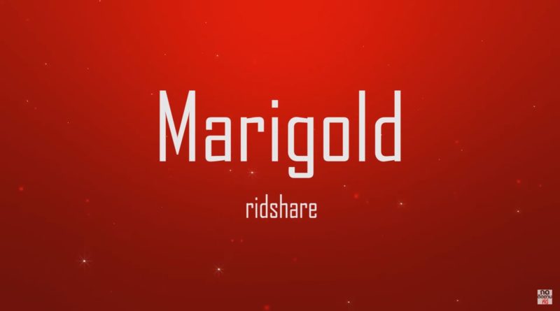 Marigold - Quincas Moreira