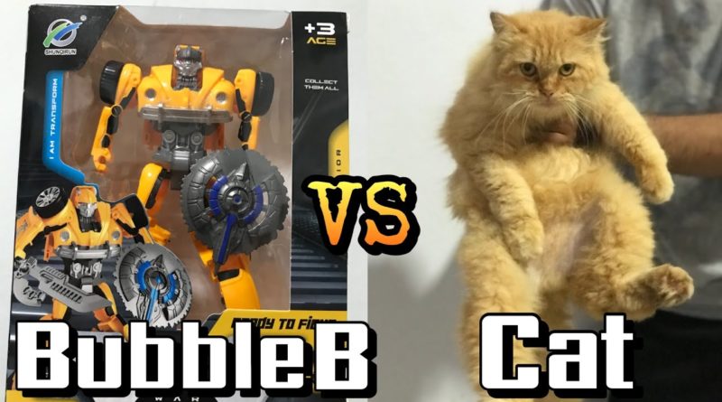 Bubble B VS Cat - บับเบิ้ลบี แปลงร่างจาก หุ่นยนต์ เป็นรถเต่า รุ่นใหม่